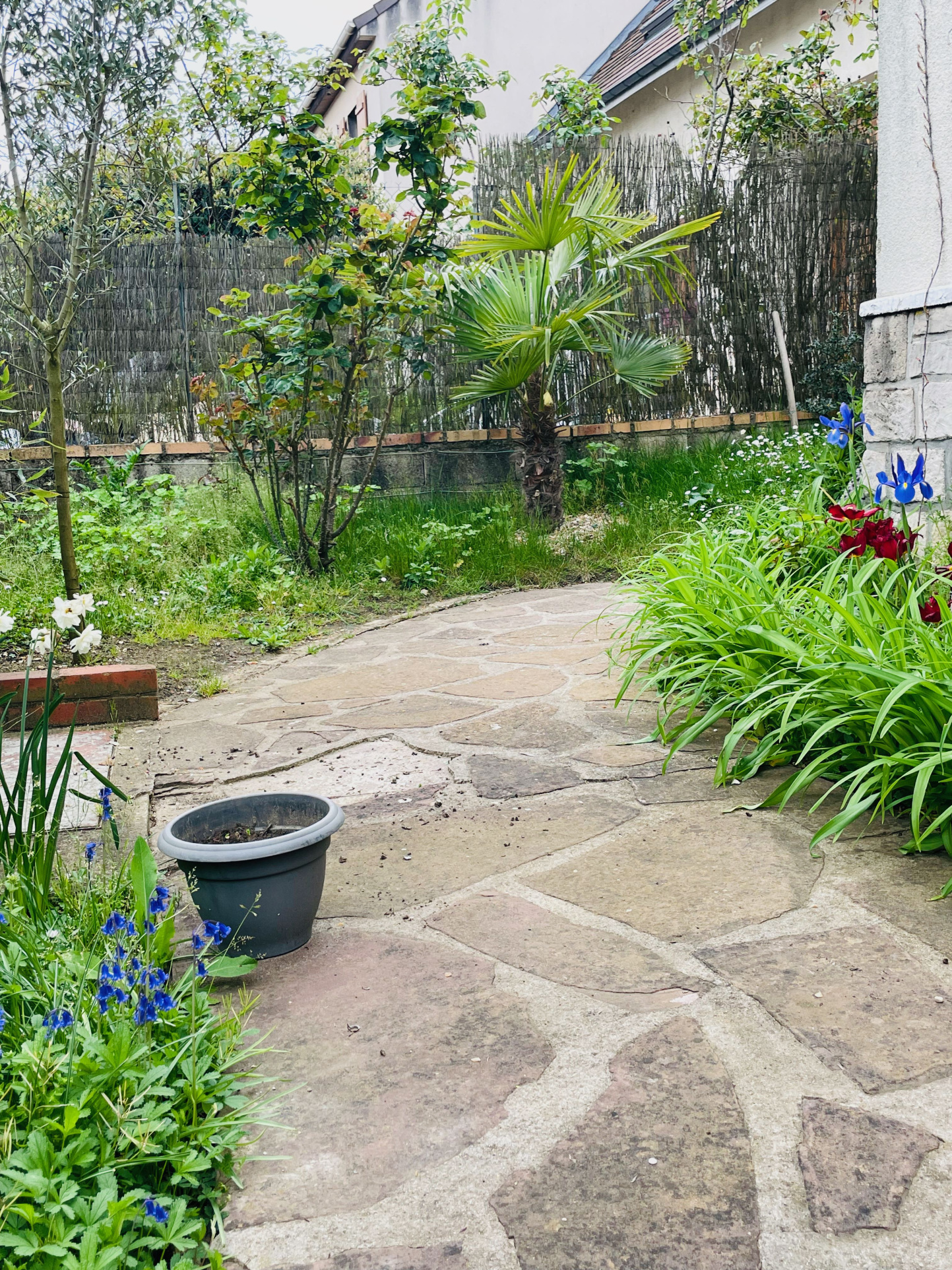 Photo bien immobilier